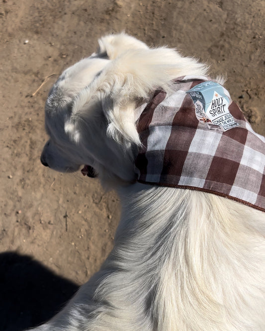 Dog Bandanas